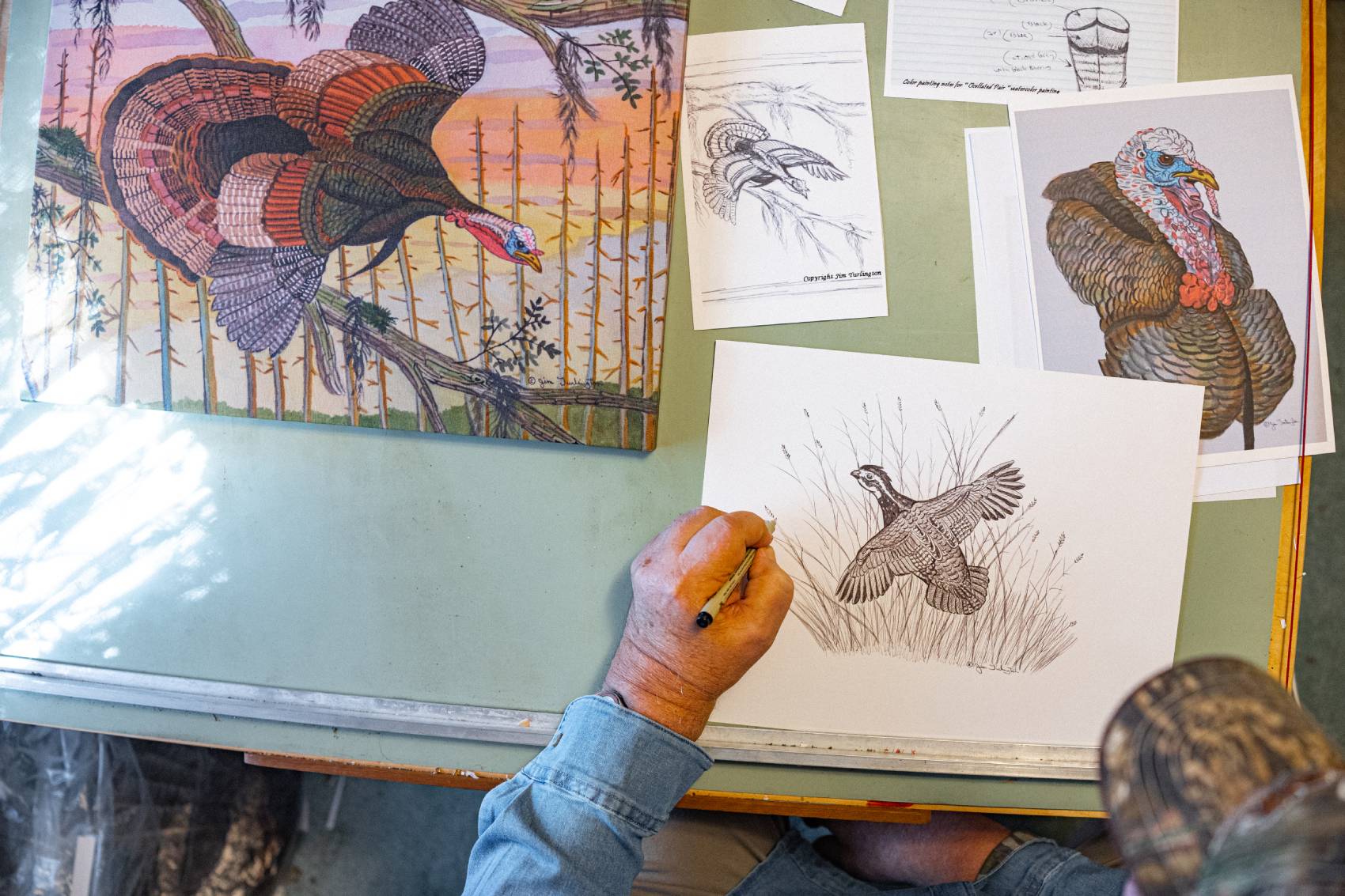 Jim Turlington--The Artist Behind the 2025 Mossy Oak Wild Turkey